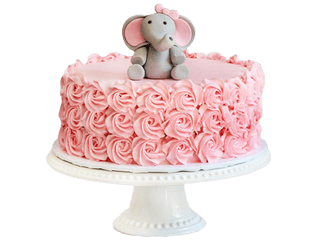 Rose Elephant Cake