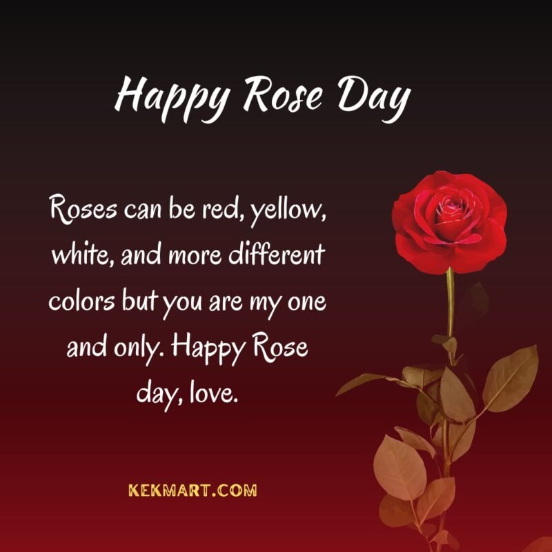 Happy Rose Day Quotes