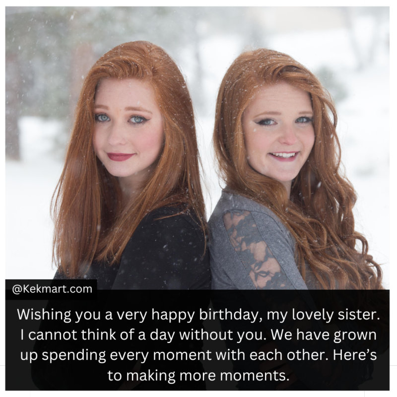 Sister Birthday Wishes From Sister