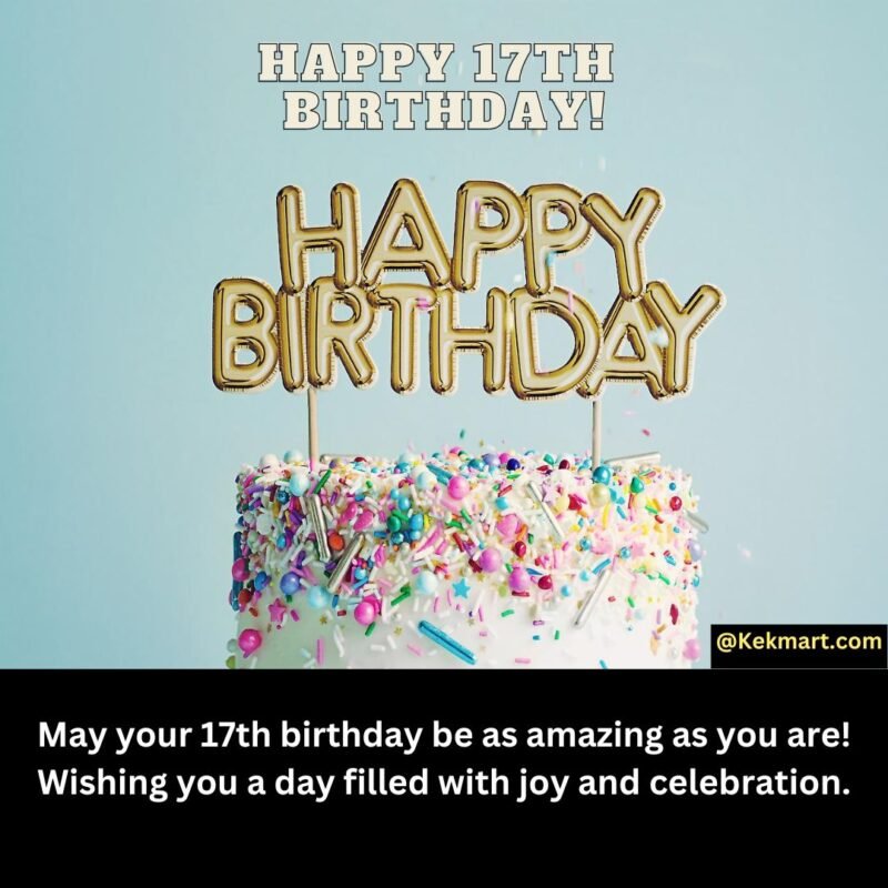 Happy 17th Birthday Wishes