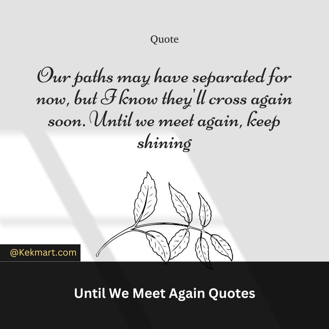 Until We Meet Again Quotes