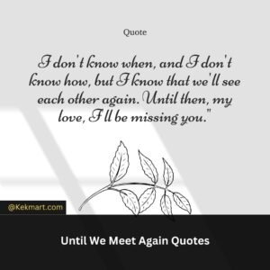 Until we meet again quotes funeral