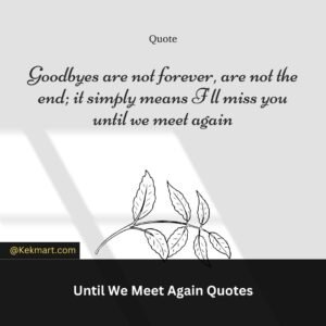 Until we meet again quotes for colleagues